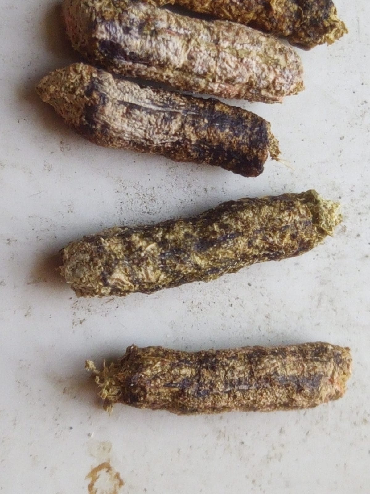 Riconoscimento escrementi